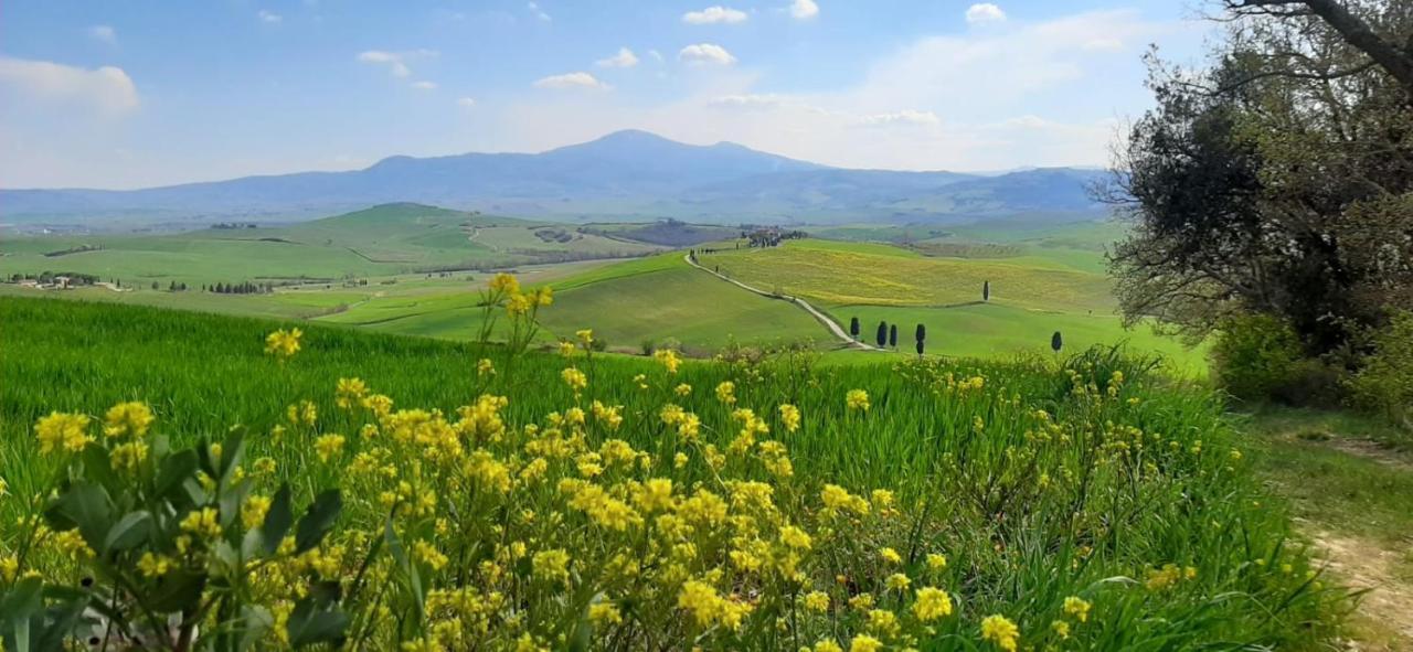 Apartment La Corte Antica Pienza